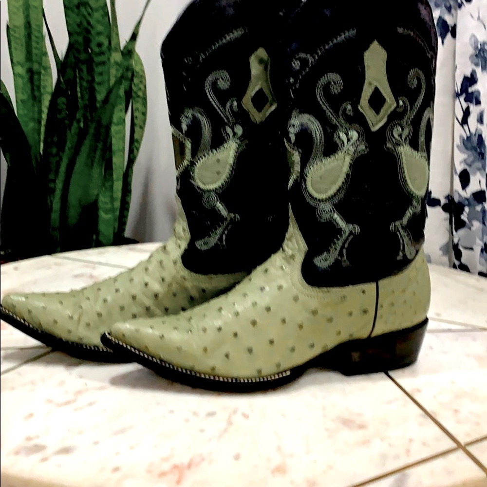 Ostrich cowboy boots and belt